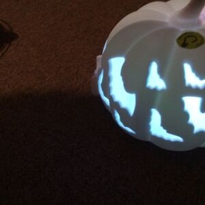 Led Halloween Iight Up Decorations New With Different Colors One